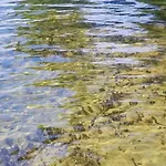 Nad Jeziorem Gizyno - Cisza I Natura Piotiwo D1 *