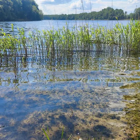Nad Jeziorem Gizyno - Cisza I Natura Piotiwo D1