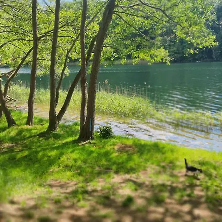 Nad Jeziorem Gizyno - Cisza I Natura Piotiwo D1 Kalisz Pomorski
