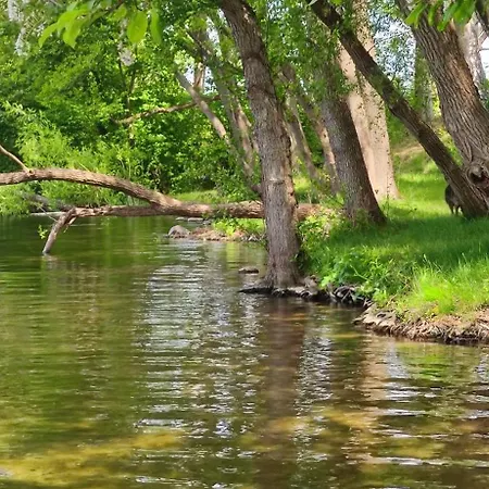 Nad Jeziorem Gizyno - Cisza I Natura Piotiwo D1 * Kalisz Pomorski