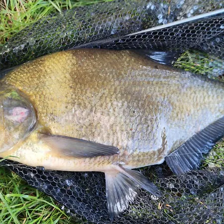 Сasa de vacaciones Piotiwo D1 Kalisz Pomorski