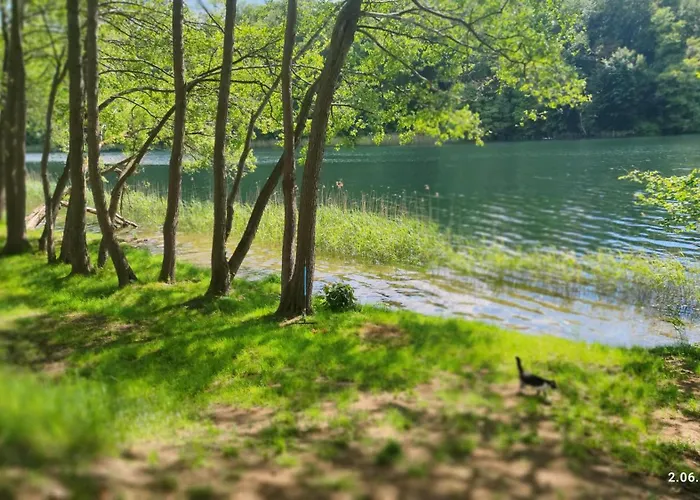 Piotiwo D1 Kalisz Pomorski