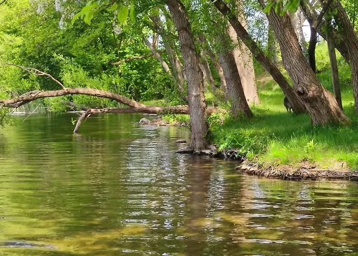 Piotiwo D1 * Kalisz Pomorski