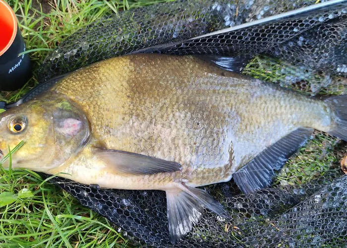 Сasa de vacaciones Piotiwo D1 Kalisz Pomorski